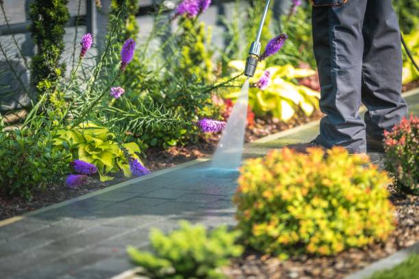 Best Driveway Pressure Washing  in Holtsville, NY